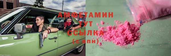сатива Белокуриха