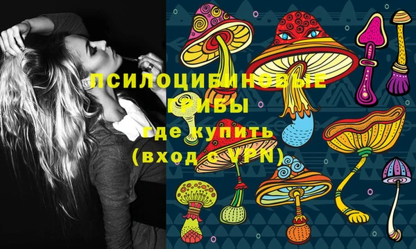 сатива Белокуриха