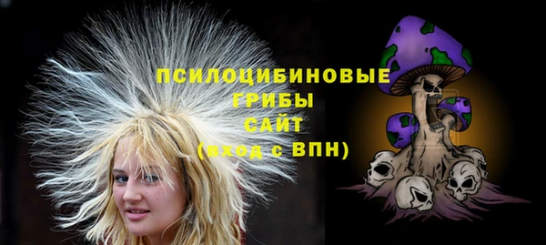 сатива Белокуриха