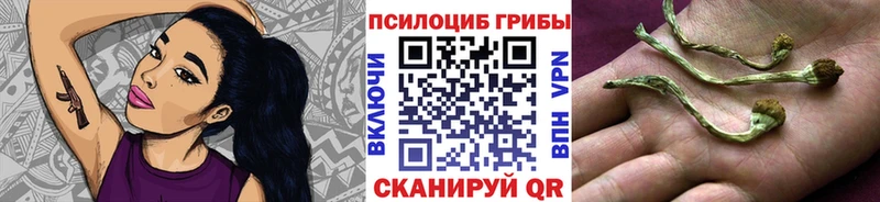 площадка Telegram  Тотьма  Галлюциногенные грибы прущие грибы 